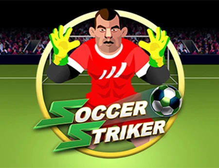 Soccer Striker